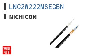 LNC2W222MSEGBN