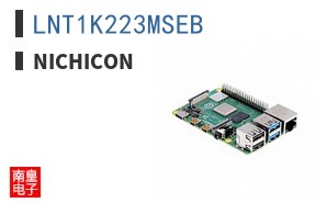 LNT1K223MSEB