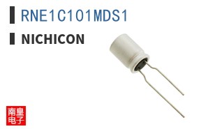 RNE1C101MDS1
