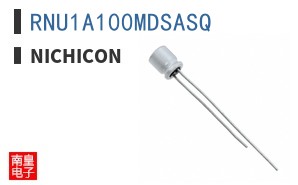 RNU1A100MDSASQ
