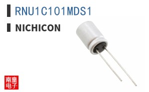 RNU1C101MDS1