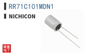 RR71C101MDN1