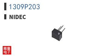 1309P203