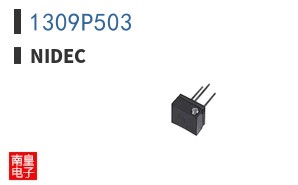 1309P503