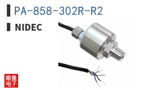 PA-858-302R-R2