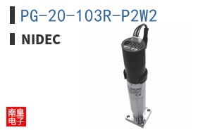 PG-20-103R-P2W2