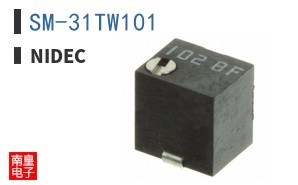 SM-31TW101