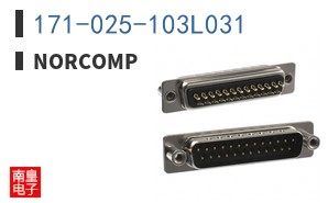 171-025-103L031