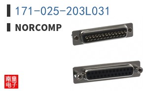171-025-203L031