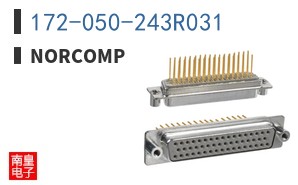 172-050-243R031