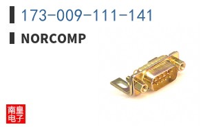 173-009-111-141