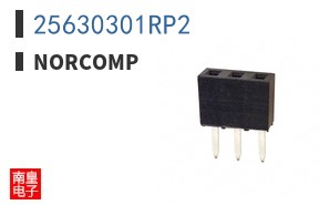 25630301RP2