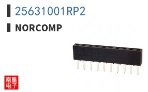 25631001RP2