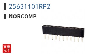 25631101RP2