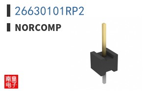 26630101RP2