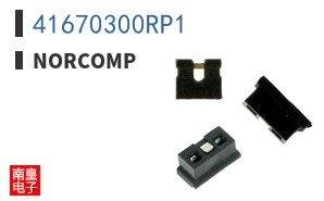 41670300RP1