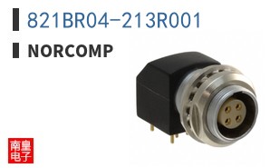 821BR04-213R001