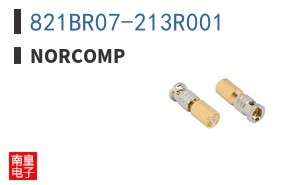 821BR07-213R001