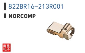 822BR16-213R001