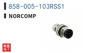 858-005-103RSS1