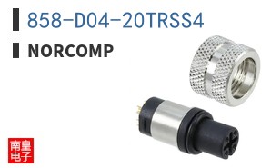 858-D04-20TRSS4