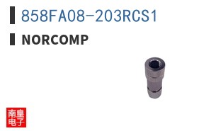 858FA08-203RCS1