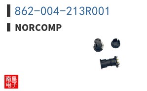 862-004-213R001