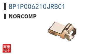 8P1P006210JRB01