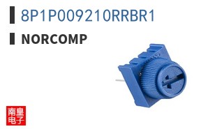 8P1P009210RRBR1