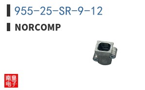 955-25-SR-9-12