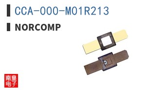 CCA-000-M01R213