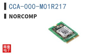 CCA-000-M01R217