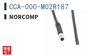 CCA-000-M02R187
