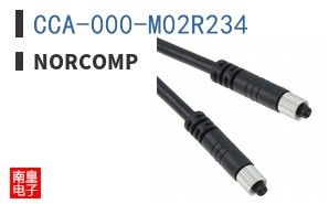 CCA-000-M02R234