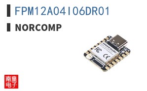 FPM12A04I06DR01