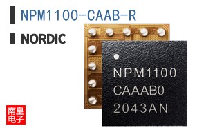 NPM1100-CAAB-R