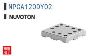NPCA120DY02