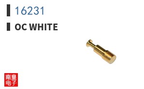 16231
