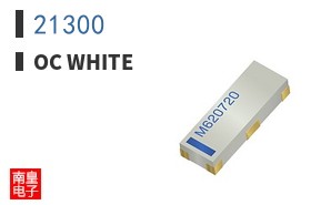 21300