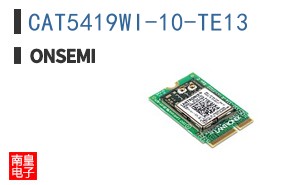 CAT5419WI-10-TE13