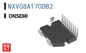NXV08A170DB2