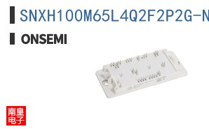 SNXH100M65L4Q2F2P2G-N1