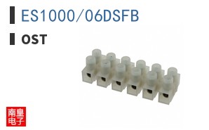 ES1000/06DSFB