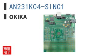 AN231K04-SING1