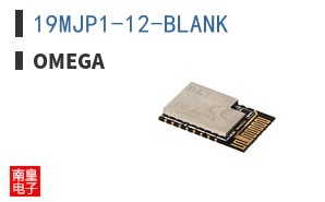 19MJP1-12-BLANK