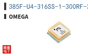 385F-U4-316SS-1-300RF-316SS
