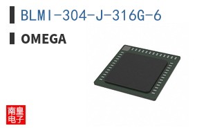 BLMI-304-J-316G-6