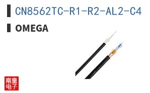 CN8562TC-R1-R2-AL2-C4