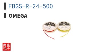 FBGS-R-24-500