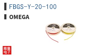 FBGS-Y-20-100